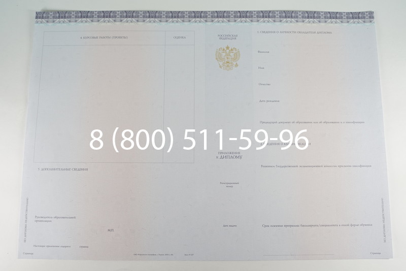 Диплом бакалавра (Киржач) 2014-2024 года в Москве Диплом бакалавра (Киржач) 2014-2024 года в Москве